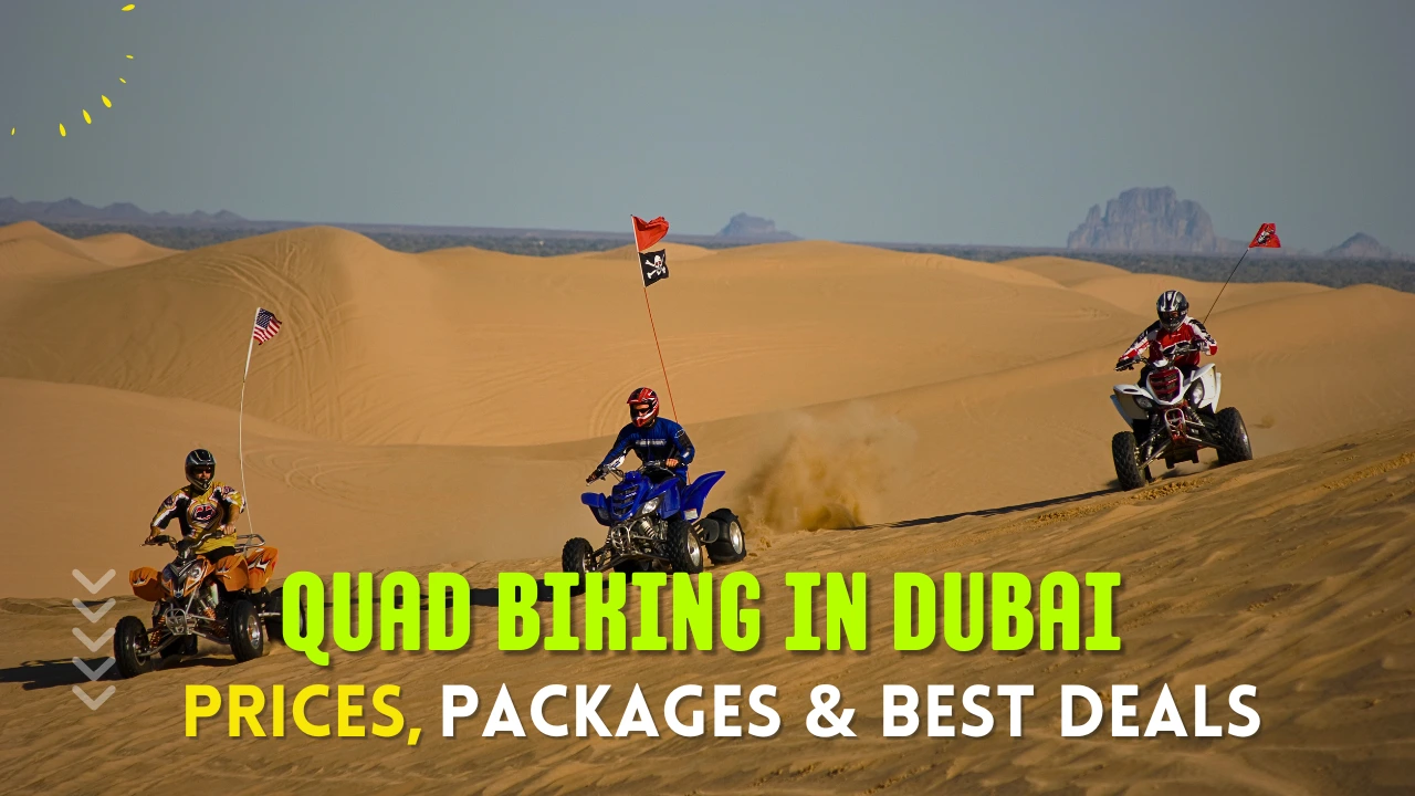 Quad Biking Dubai Price
